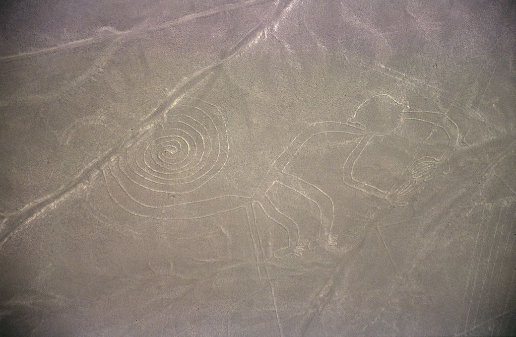 Linee di Nazca - figura della scimmia