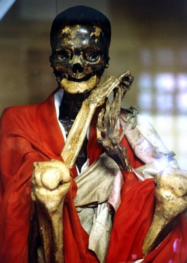 auto-mummificazione - monaco