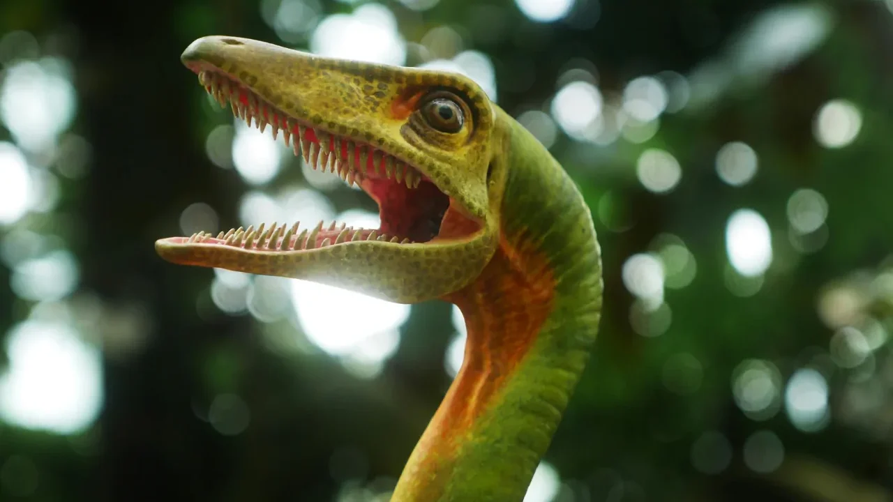 Dramma nel Giurassico: i fossili di Solnhofen svelano la sorte di due piccoli pterosauri